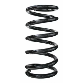 Ressort de suspension SPIDAN 85255