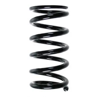 Ressort de suspension SPIDAN 85256