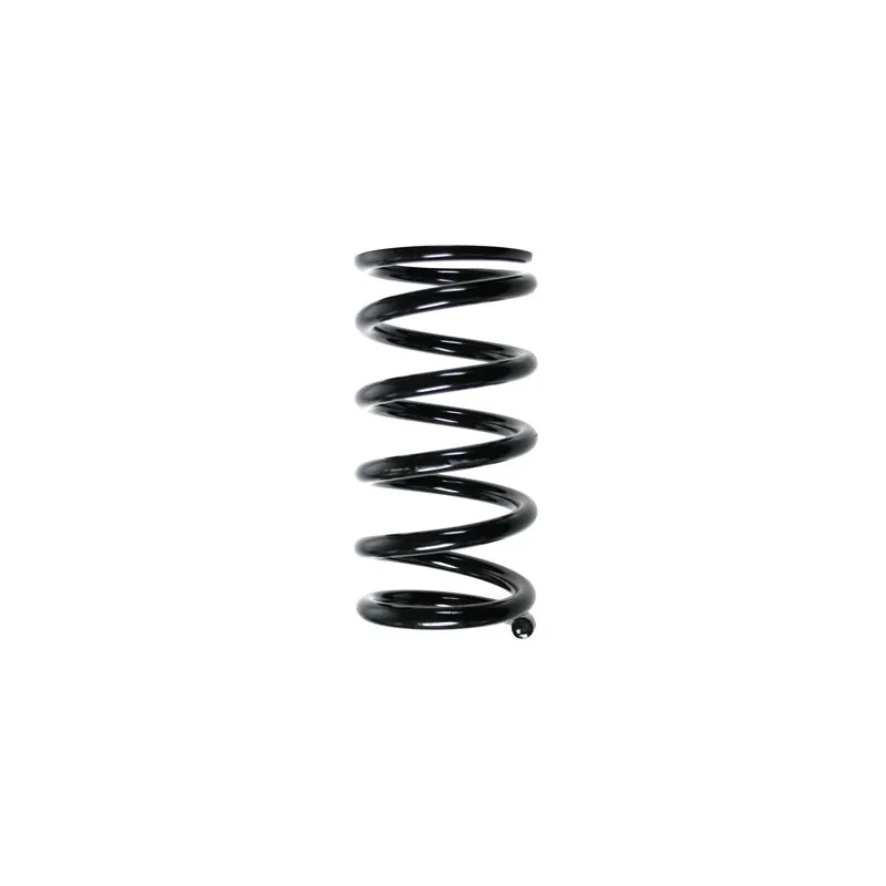 Ressort de suspension SPIDAN 85256