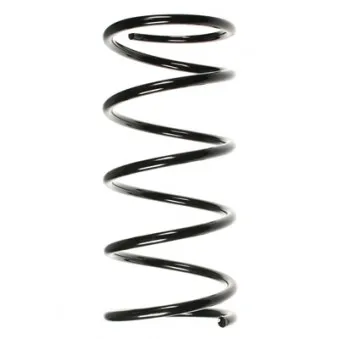 Ressort de suspension SPIDAN 85268