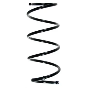 Ressort de suspension SPIDAN 85292