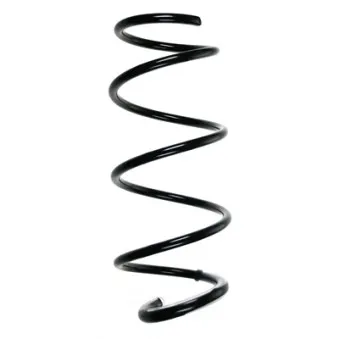 Ressort de suspension SPIDAN 85294