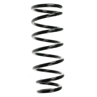 Ressort de suspension SPIDAN 85309