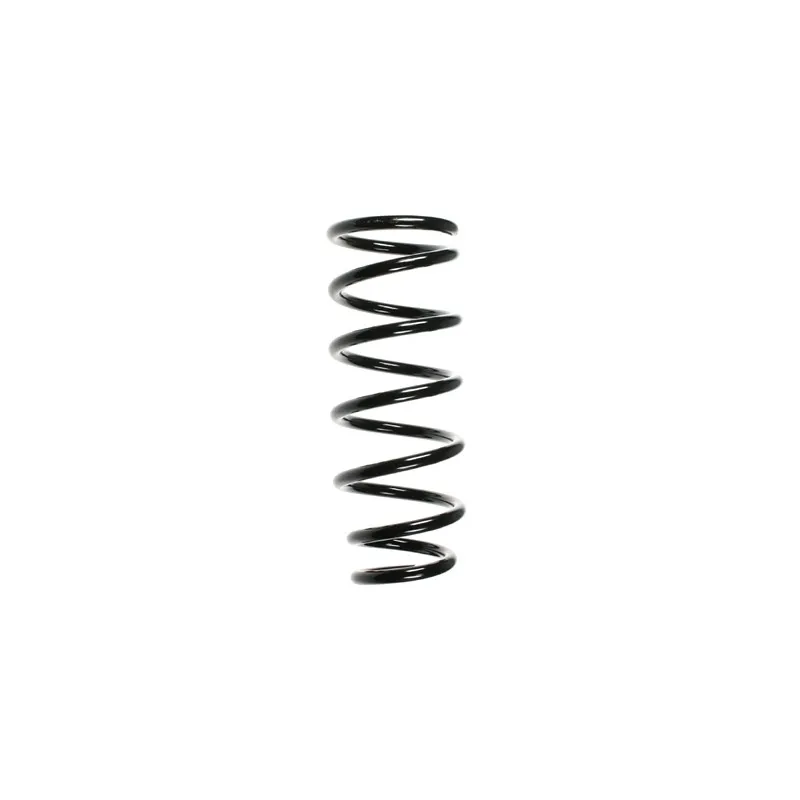 Ressort de suspension SPIDAN 85309