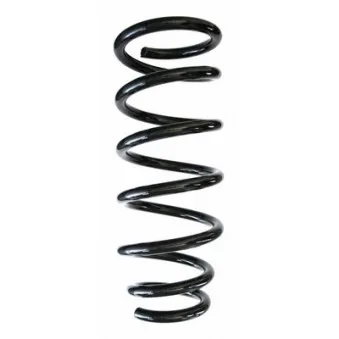Ressort de suspension SPIDAN 85310
