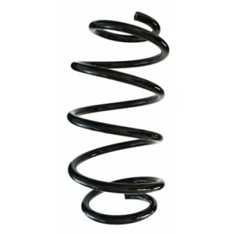 Ressort de suspension SPIDAN 85314