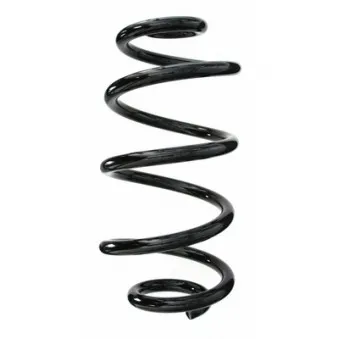 Ressort de suspension SPIDAN 85315