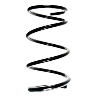 Ressort de suspension SPIDAN 85319
