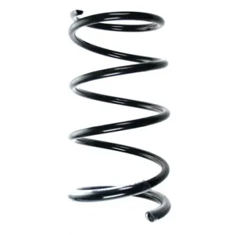 Ressort de suspension SPIDAN 85320