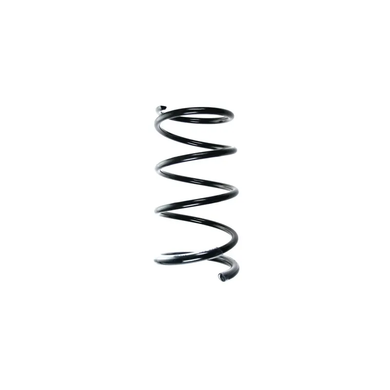 Ressort de suspension SPIDAN 85320
