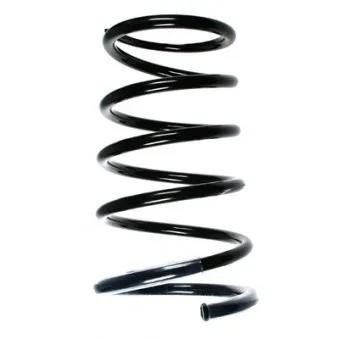 Ressort de suspension SPIDAN 85322