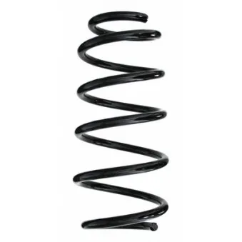 Ressort de suspension SPIDAN 85324