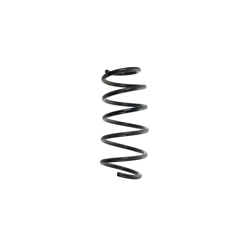 Ressort de suspension SPIDAN 85331