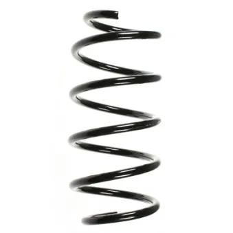Ressort de suspension SPIDAN 85333