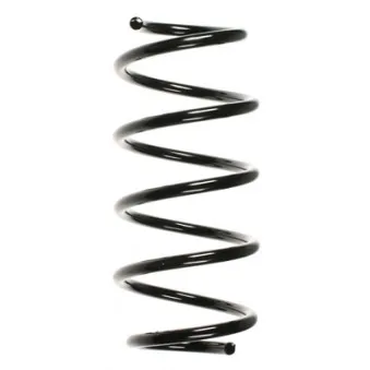 Ressort de suspension SPIDAN 85334