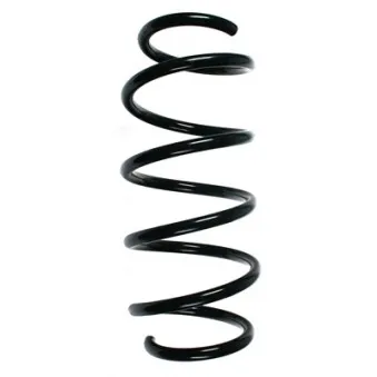 Ressort de suspension SPIDAN 85337