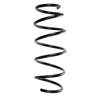 Ressort de suspension SPIDAN 85340