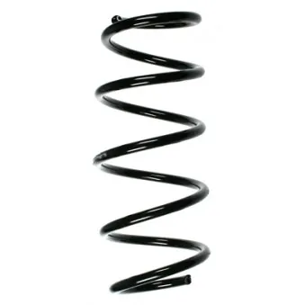 Ressort de suspension SPIDAN 85343