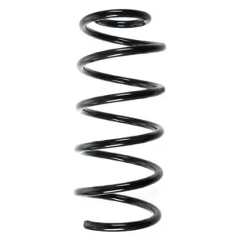 Ressort de suspension SPIDAN 85348