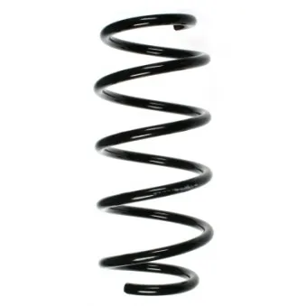 Ressort de suspension SPIDAN 85350