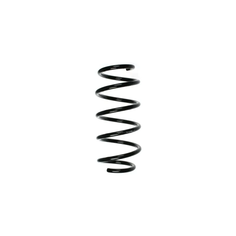 Ressort de suspension SPIDAN 85350