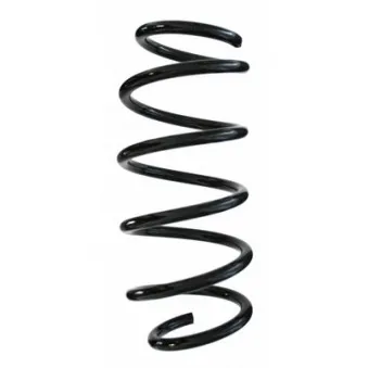 Ressort de suspension SPIDAN 85352