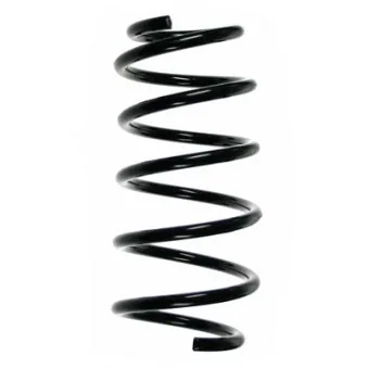 Ressort de suspension SPIDAN 85357