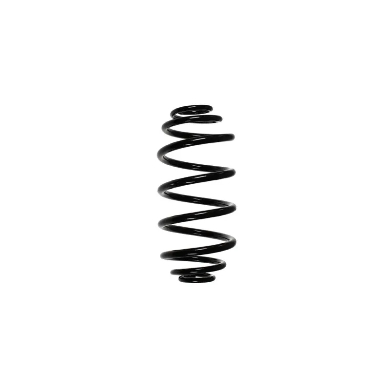 Ressort de suspension SPIDAN 85361