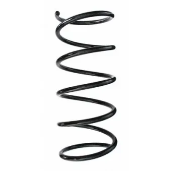 Ressort de suspension SPIDAN 85365