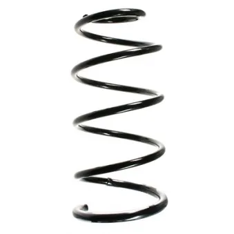 Ressort de suspension SPIDAN 85396