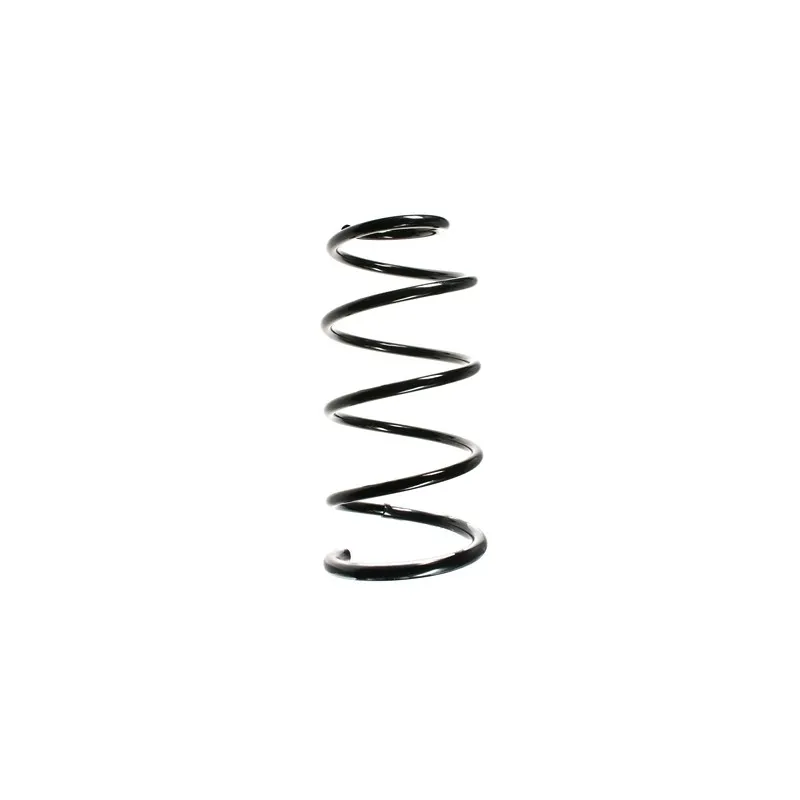 Ressort de suspension SPIDAN 85396