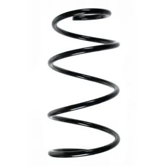 Ressort de suspension SPIDAN 85450