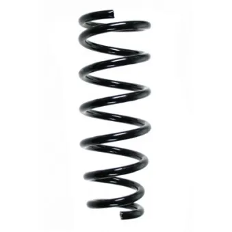 Ressort de suspension SPIDAN 85454