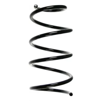 Ressort de suspension SPIDAN 85460