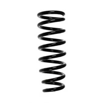 Ressort de suspension SPIDAN 85465