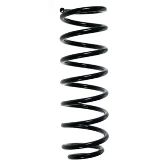 Ressort de suspension SPIDAN 85478