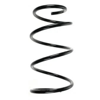 Ressort de suspension SPIDAN 85480