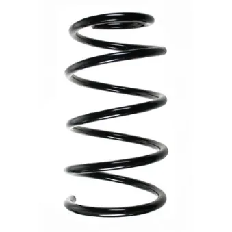 Ressort de suspension SPIDAN 85486