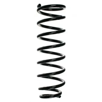 Ressort de suspension SPIDAN 85492