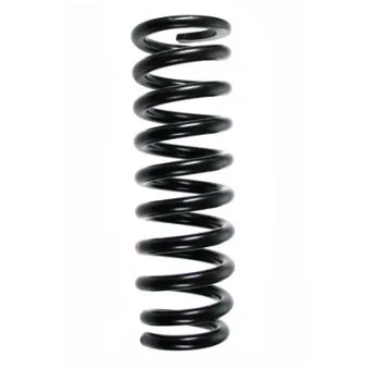 Ressort de suspension SPIDAN 85497