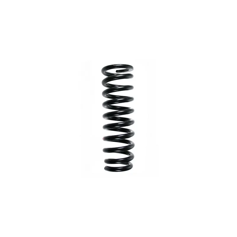 Ressort de suspension SPIDAN 85497