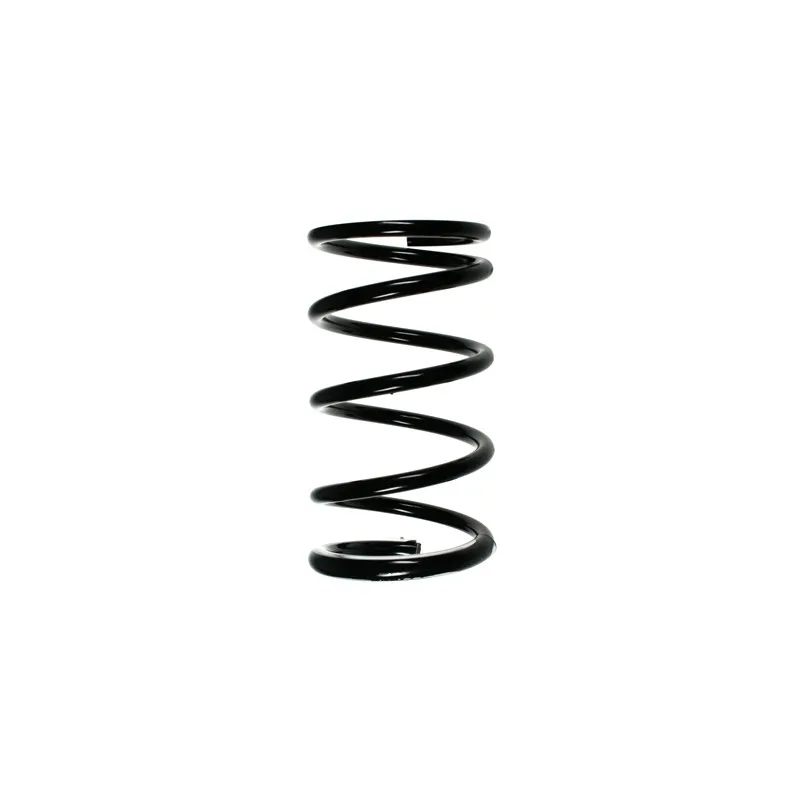 Ressort de suspension SPIDAN 85507