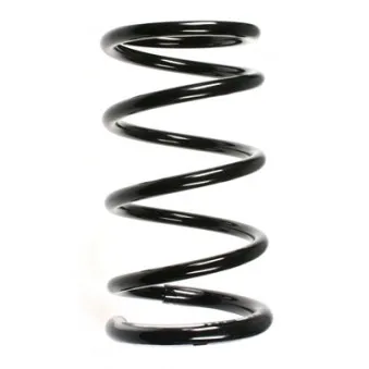 Ressort de suspension SPIDAN 85508