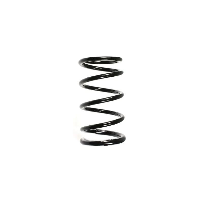 Ressort de suspension SPIDAN 85508