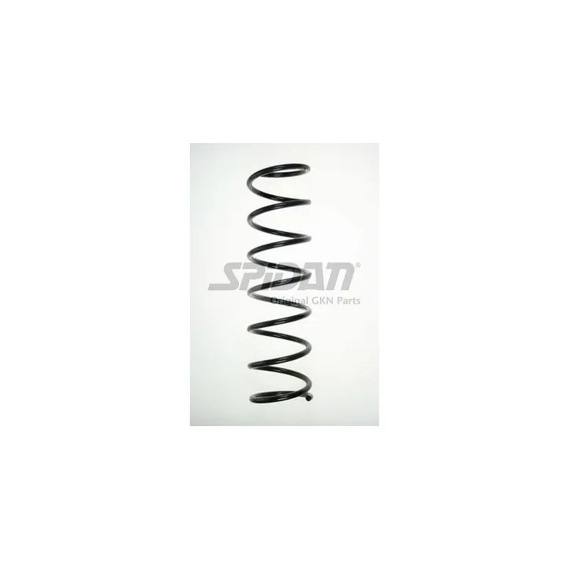 Ressort de suspension SPIDAN 85516
