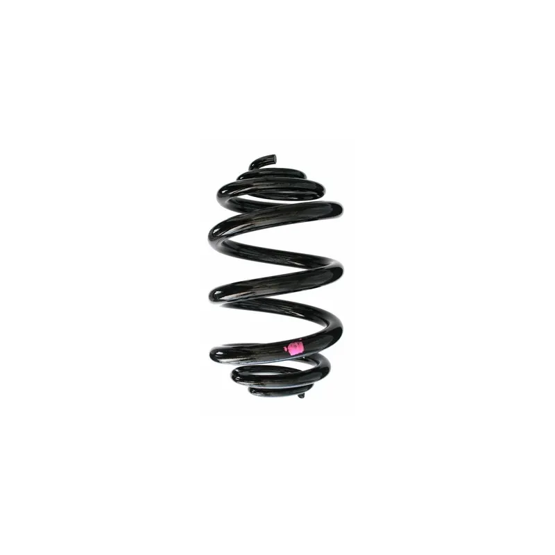 Ressort de suspension SPIDAN 85522