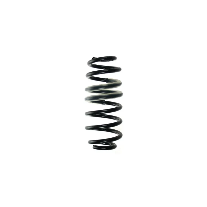 Ressort de suspension SPIDAN 85536