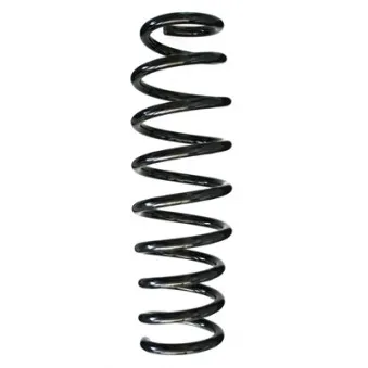 Ressort de suspension SPIDAN 85540