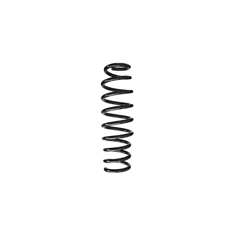 Ressort de suspension SPIDAN 85540