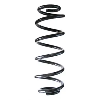 Ressort de suspension SPIDAN 85553